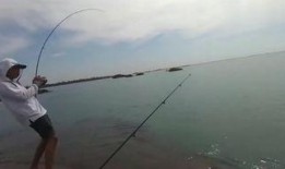 新瓜最新爆料钓鱼视频大全,钓鱼视频大全深度解析